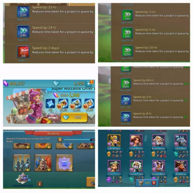 3 champ +1 champ gold · 5 / 5