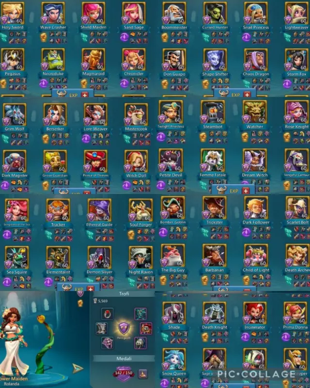 3 11k gold  1 skin lead / Castle lv4 · 5 / 6