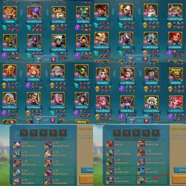 8+1 Champ - 4 Cups · 3 / 5
