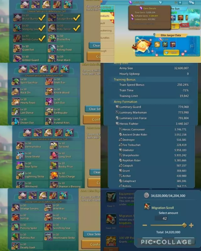 3 11k gold  1 skin lead / Castle lv4 · 1 / 6