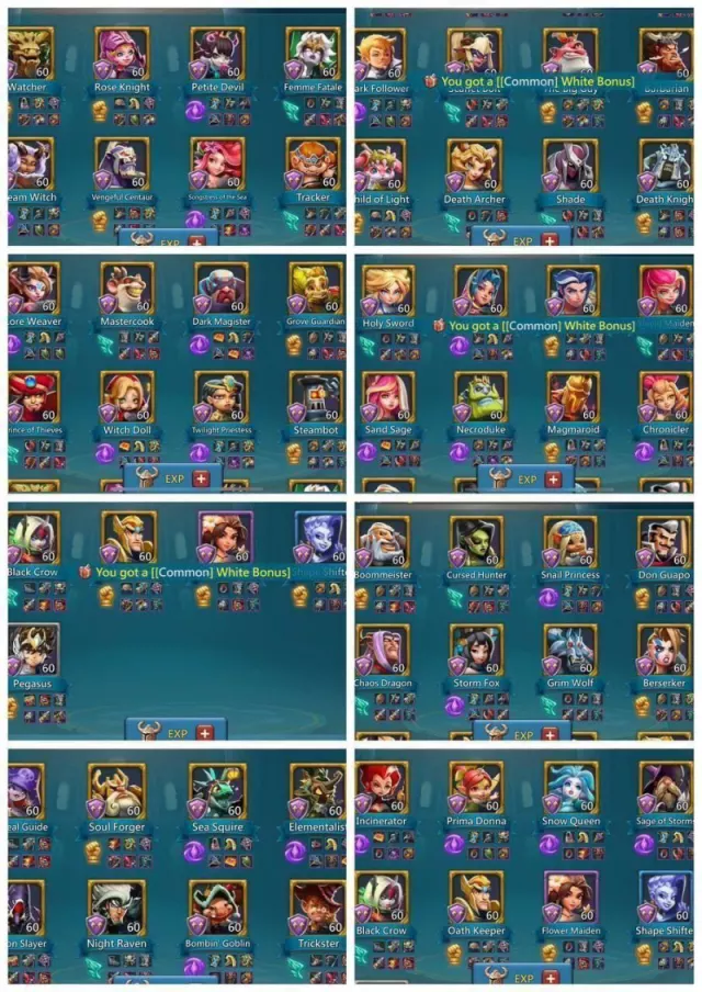1x11k Hero Gold / 16+1 champ · 1 / 9