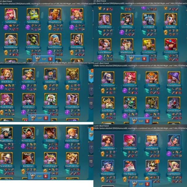 10 champ 6 cups · 6 / 7