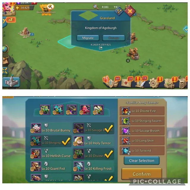 Can go till k1419 / 1*Lvl12+1*11+1*10 Champ Astra · 2 / 8