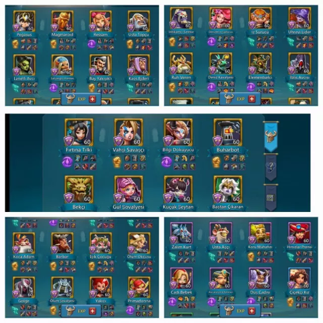 Full champ  / 9 champ 7 cups · 4 / 5