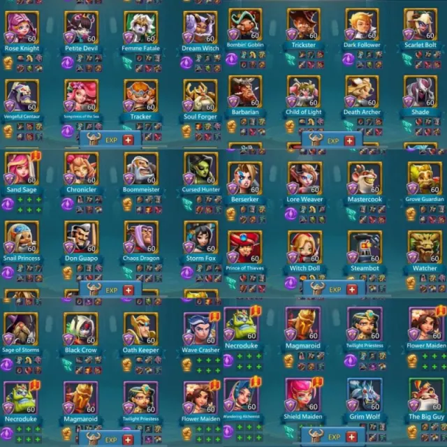 5+2 Champ - 4+2 cups · 6 / 6