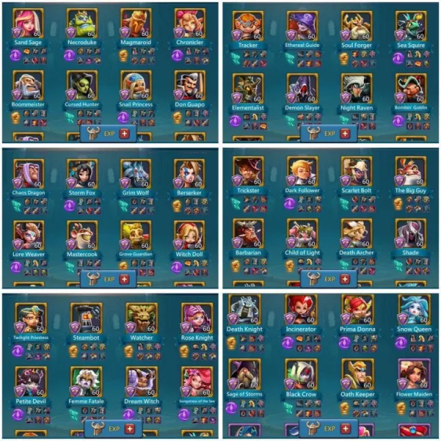 5 lvl 12 / Low quest might /  16 Champ orange · 5 / 5