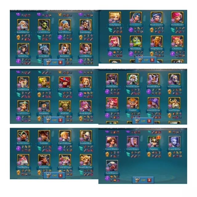 17 champ1*15 and 4 lvl 12 champ · 8 / 9