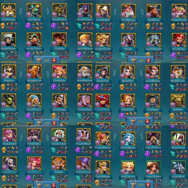 9+1 champ, 5 cups · 5 / 6